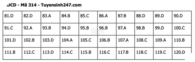 Đáp án Đề Thi tốt nghiệp môn Sử Địa GDCD năm 2022 THPT Quốc gia chi tiết tất cả mã đề 41