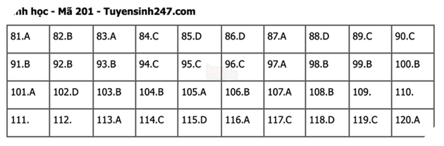 Đáp án Đề Thi tốt nghiệp môn Lý Hóa Sinh năm 2022 THPT Quốc gia chi tiết tất cả mã đề 52