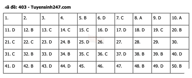 undefined - Ảnh 1.