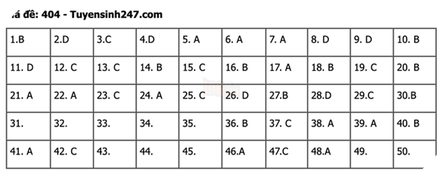 undefined - Ảnh 1.