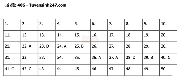 undefined - Ảnh 1.