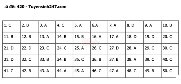 undefined - Ảnh 1.