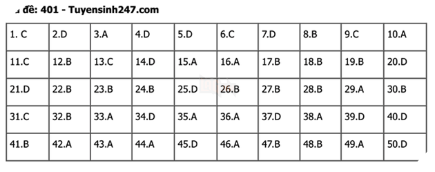 undefined - Ảnh 1.