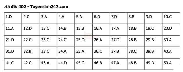 undefined - Ảnh 1.