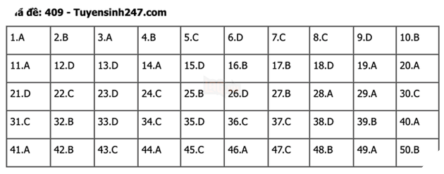 undefined - Ảnh 1.