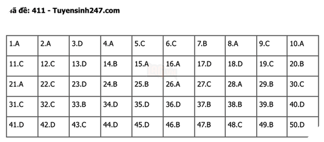 undefined - Ảnh 1.