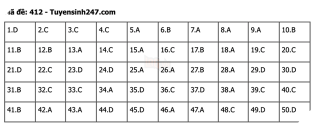 undefined - Ảnh 1.