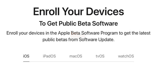 Apple cho phép người dùng nâng cấp lên iOS 16 và iPadOS 16 Public Beta, đây là cách cài đặt 2