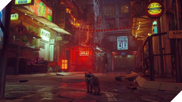 Photo of Những gì bạn cần biết về Stray – Tựa game giả lập làm mèo khám phá thế giới Cyberpunk bí ẩn