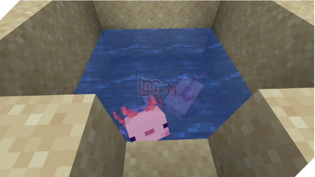 Minecraft 1.19: Tổng hợp 7 mob độc đáo nhất mà bạn chưa biết 