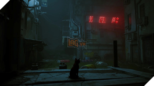 Nhà phát triển tựa game gây sốt Stray hé lộ nguồn cảm hứng cho chú mèo nhân vật chính