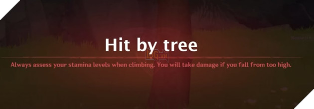 Genshin Impact Asian Level 4