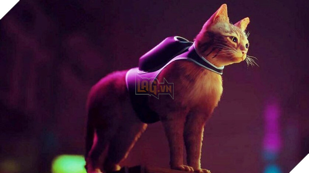 Nhà phát triển Stray hé lộ về nguồn cảm hứng để sáng tạo ra chú mèo nhân vật chính 4
