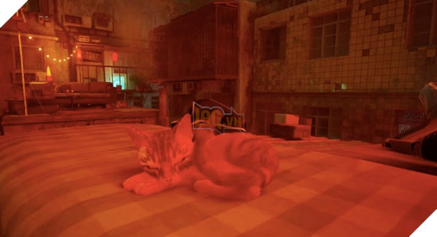 Nhà phát triển Stray hé lộ về nguồn cảm hứng để sáng tạo ra chú mèo nhân vật chính 3