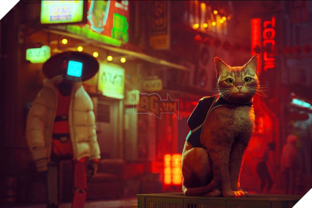 Nhà phát triển Stray hé lộ về “nguồn cảm hứng” để sáng tạo ra chú mèo nhân vật chính
