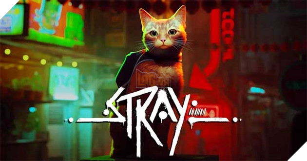 Tổng hợp đánh giá của Stray – Tựa game nhập vai thành mèo hot nhất trên Steam