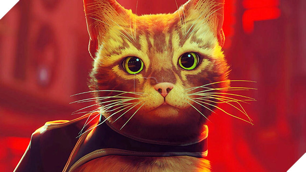 10 hành vi giống mèo nhất mà bạn có thể làm trong Stray