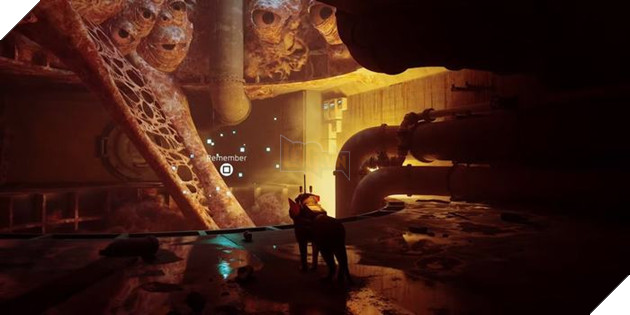 Stray: Hướng dẫn tìm toàn bộ Ký ức trong game để mở khóa thành tựu Phần 2  6