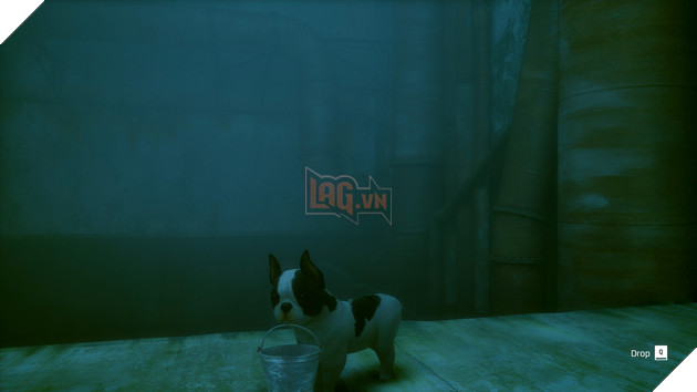 Biến mèo thành chó trong Stray 2