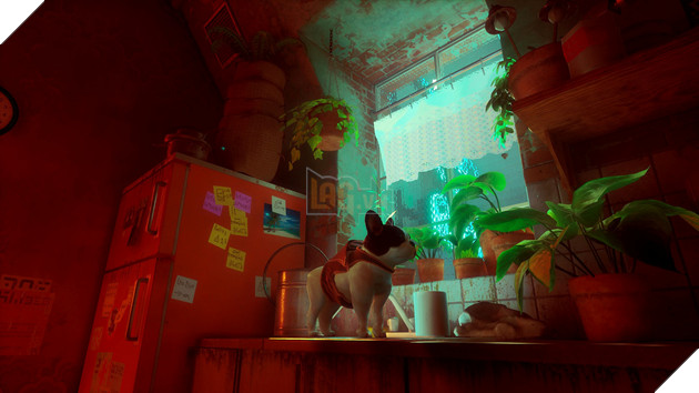 Biến mèo thành chó trong Stray 3