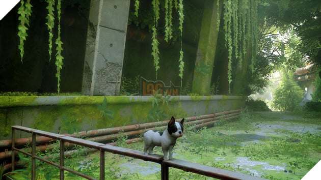 Biến mèo thành chó trong Stray 1