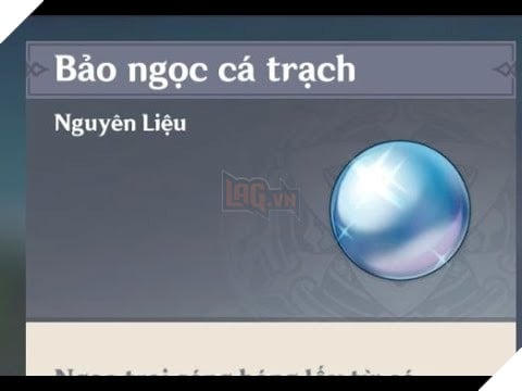 Bảo Ngọc Cá Chạch