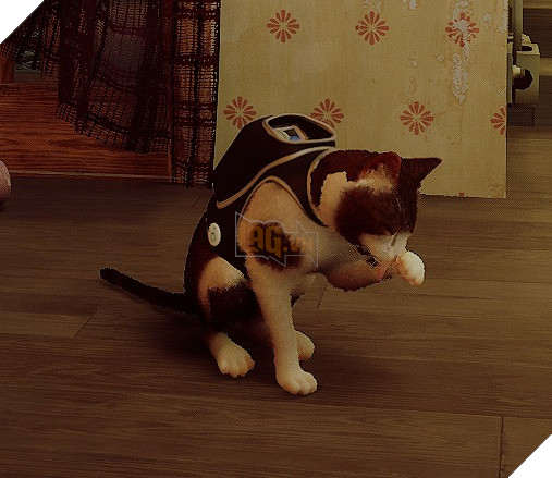 Chơi game về Hoàng Thượng, một con Sen mod luôn Hoàng Thượng ngoài đời vào 2