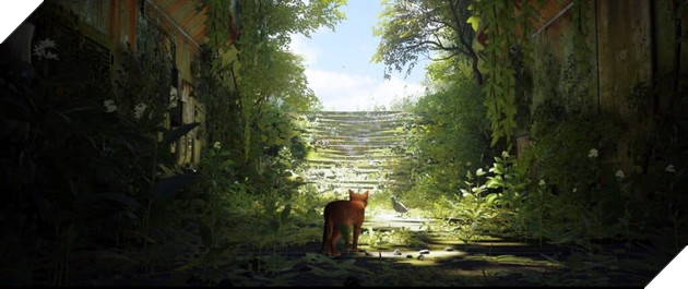 Chuyện gì đã xảy ra với loài người trong tựa game Stray? 4