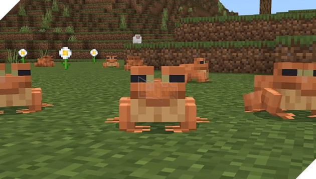 7 sự thật mà bạn chưa biết về các mob mới trong Minecraft 1.19