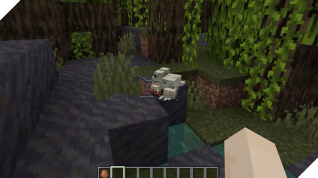 7 sự thật mà bạn chưa biết về các mob mới trong Minecraft 1.19