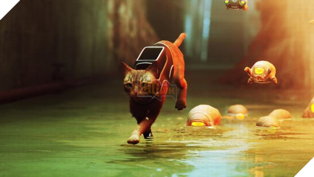 Một chi tiết trong game Stray hé lộ mốc thời gian của bối cảnh trò chơi