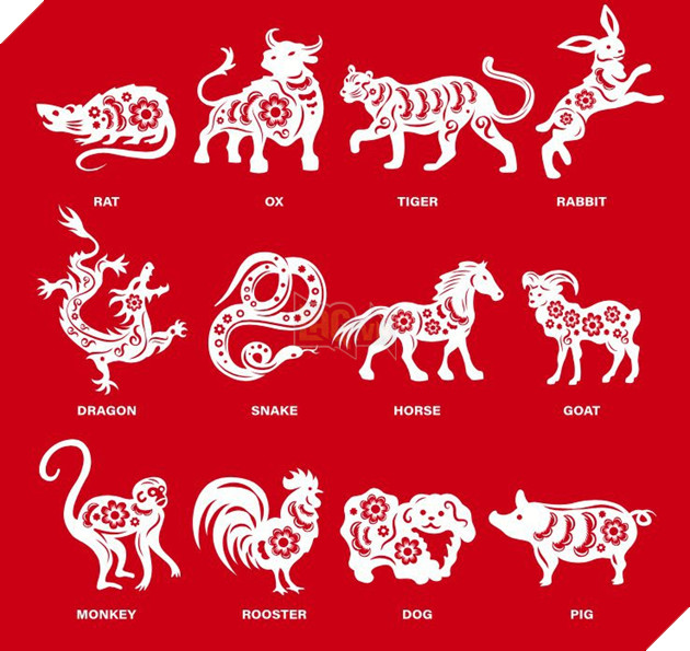 one piece hải quân