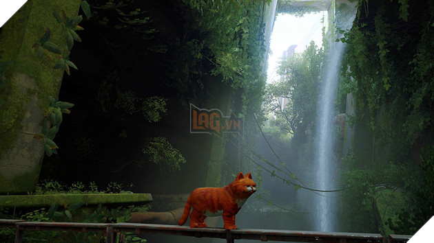 Bản mod game Stray giúp tăng thêm cảm giác hóa mèo với góc nhìn thứ nhất