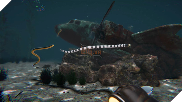 Death in the Water 2 - Khám phá những bí ẩn kinh dị ngay bên dưới lòng đại dương