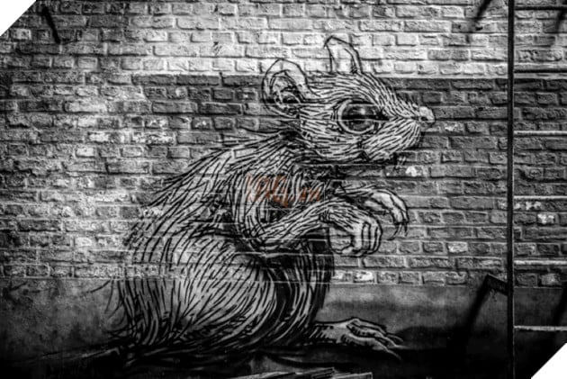 Một hacker 15 tuổi đã tạo và bán mã độc trojan cho hàng triệu hacker toàn cầu