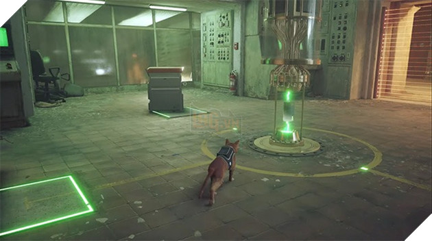 Cốt truyện Stray: Midtown và cái giá để đổi lấy sự tự do 