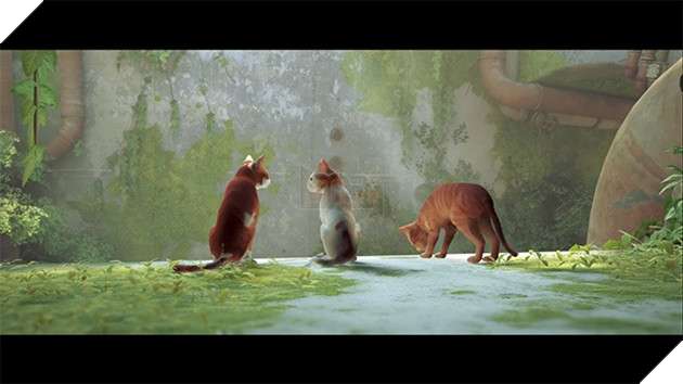 Cốt truyện Stray