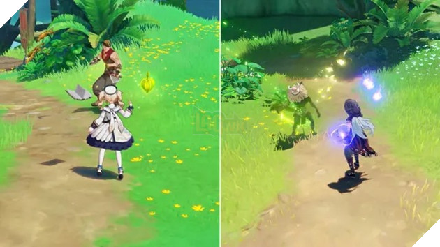 Genshin Impact Đội hình Taser là gì 