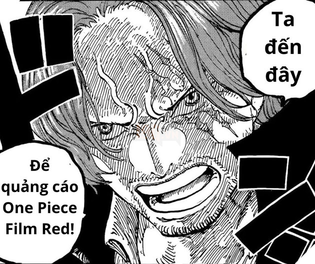 meme one piece 1055