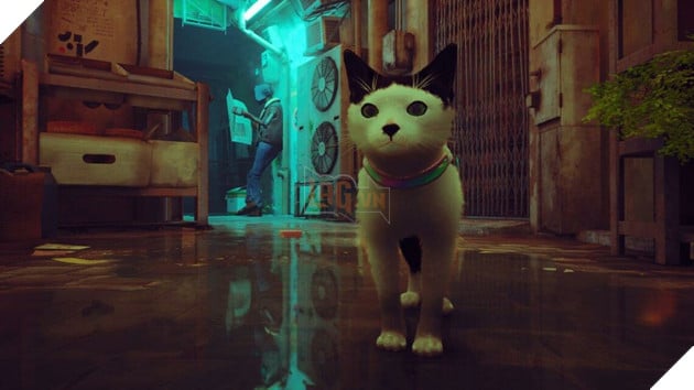 Stray: Modder tạo ra dịch vụ giúp đưa con mèo của bạn vào trong game 5