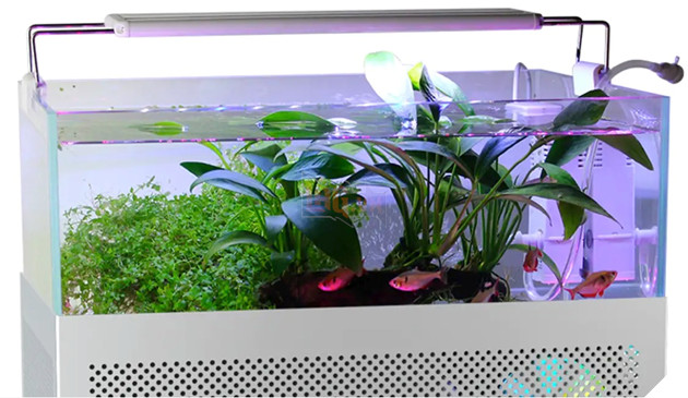 "Trầm trồ" với hồ cá thuỷ sinh kết hợp dàn PC vô cùng độc đáo