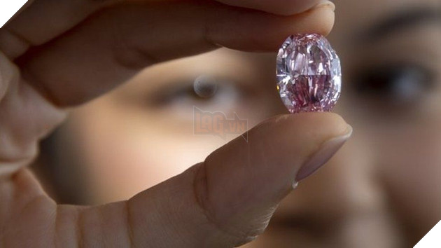 Lulo Rose, the largest pink diamond discovered in over 300 years