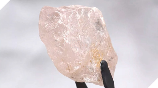 Lulo Rose, the largest pink diamond discovered in over 300 years