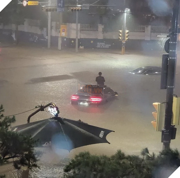 Đường ngập như biển hồ, anh trai Hàn Quốc tự nhiên biến thành meme khi ngồi chờ trên nóc xe 3