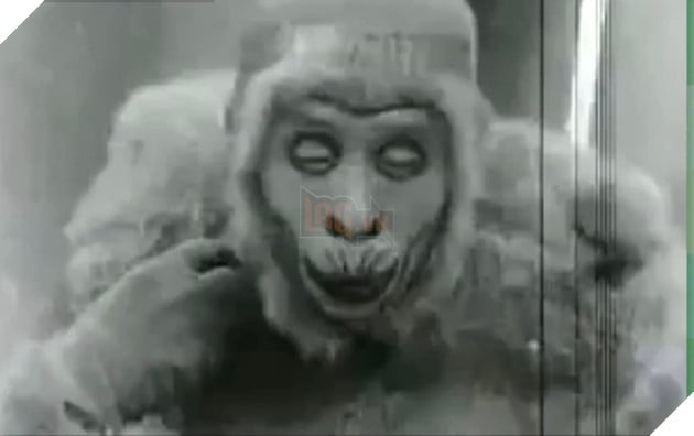 Tôn Ngộ Không trên phim qua từng thời kì