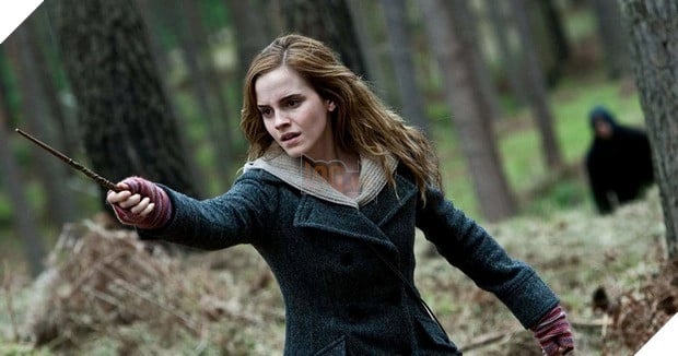 Cuộc đời của các nhân vật Harry Potter sau trận chiến với Chúa Tể Hắc Ám Voldemort