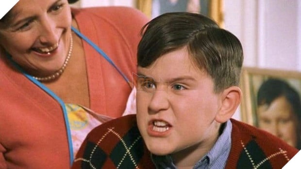 Cuộc đời của các nhân vật Harry Potter sau trận chiến với Chúa Tể Hắc Ám Voldemort