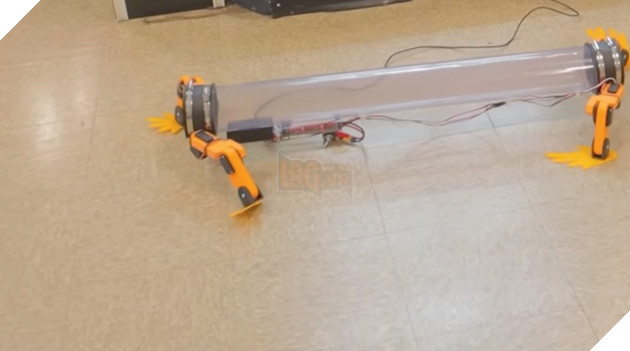 Thiết bị mới giúp loài rắn "tiến hoá ngược", có thể đi lại bằng chân như thằn lằn 