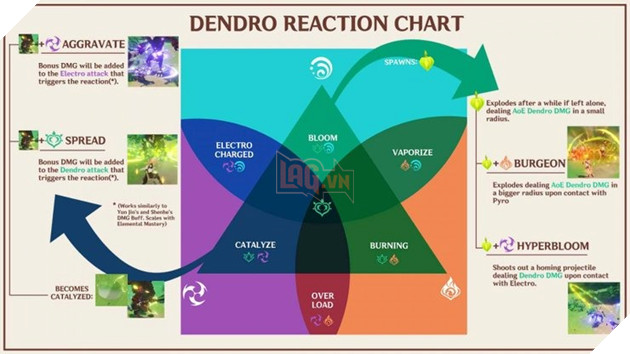 Hệ thảo và sự thay đổi cuộc chơi Genshin 1