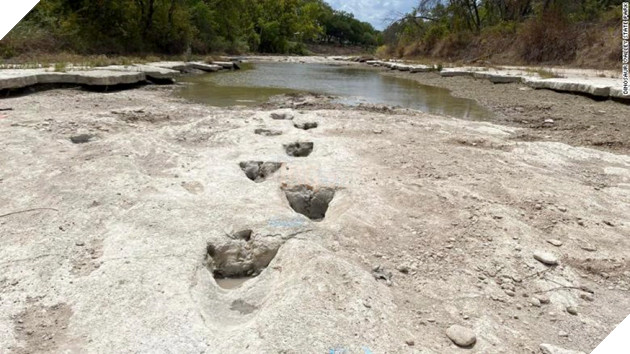 Dòng sông lớn khô hạn vì hạn hán làm lộ hàng trăm dấu chân khủng long 113 triệu năm trước
